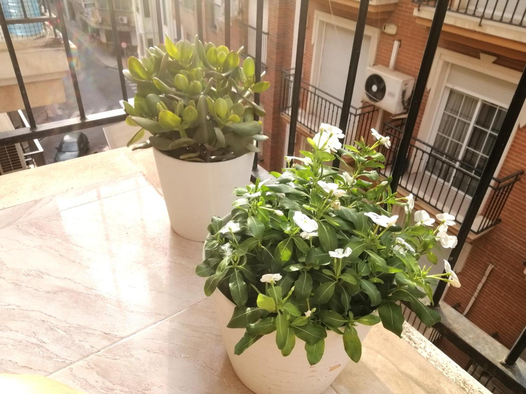 Centrico Apartamento Vara De Rey Murcia Exterior foto
